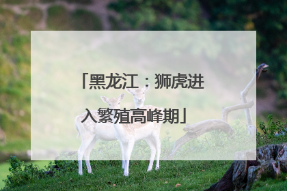 黑龙江：狮虎进入繁殖高峰期
