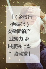 （乡村行·看振兴）安徽固镇产业聚力 乡村振兴“畜”势勃发