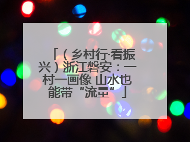 （乡村行·看振兴）浙江磐安：一村一画像 山水也能带“流量”