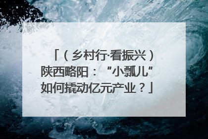 （乡村行·看振兴）陕西略阳：“小瓢儿”如何撬动亿元产业？