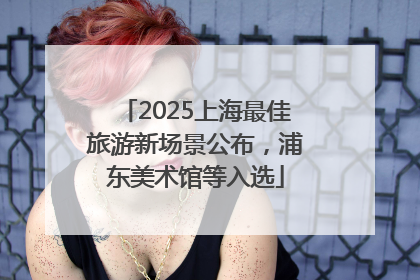 2025上海最佳旅游新场景公布，浦东美术馆等入选