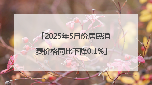 2025年5月份居民消费价格同比下降0.1%