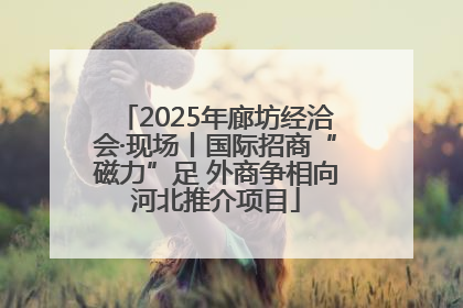 2025年廊坊经洽会·现场丨国际招商“磁力”足 外商争相向河北推介项目