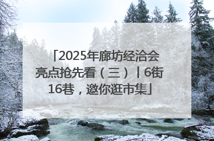 2025年廊坊经洽会亮点抢先看（三）丨6街16巷，邀你逛市集