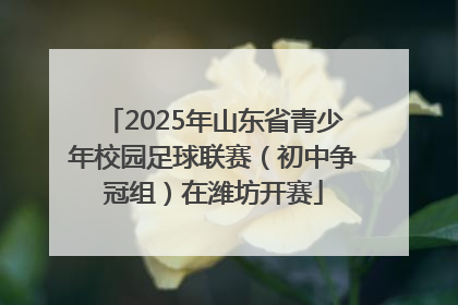 2025年山东省青少年校园足球联赛（初中争冠组）在潍坊开赛