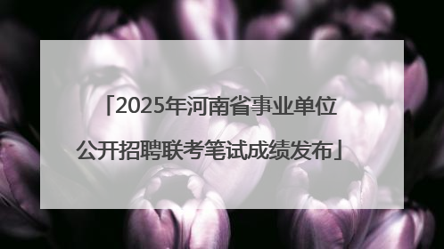 2025年河南省事业单位公开招聘联考笔试成绩发布