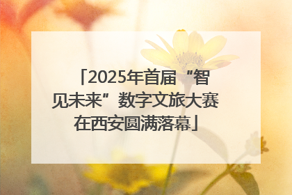 2025年首届“智见未来”数字文旅大赛在西安圆满落幕