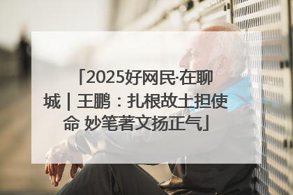 2025好网民·在聊城｜王鹏：扎根故土担使命 妙笔著文扬正气