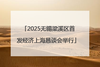 2025无锡梁溪区首发经济上海恳谈会举行