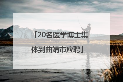 20名医学博士集体到曲靖市应聘