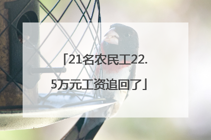 21名农民工22.5万元工资追回了