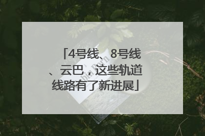 4号线、8号线、云巴，这些轨道线路有了新进展