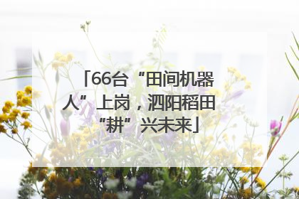 66台“田间机器人”上岗，泗阳稻田“耕”兴未来