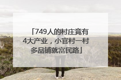 749人的村庄竟有4大产业，小官村一村多品铺就富民路
