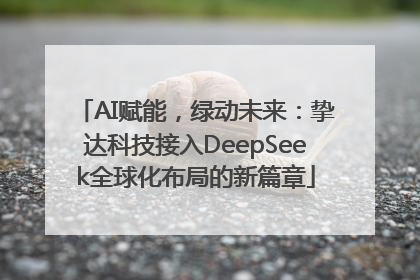 AI赋能，绿动未来：挚达科技接入DeepSeek全球化布局的新篇章