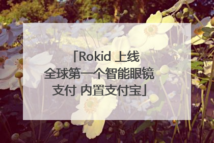 Rokid 上线全球第一个智能眼镜支付 内置支付宝